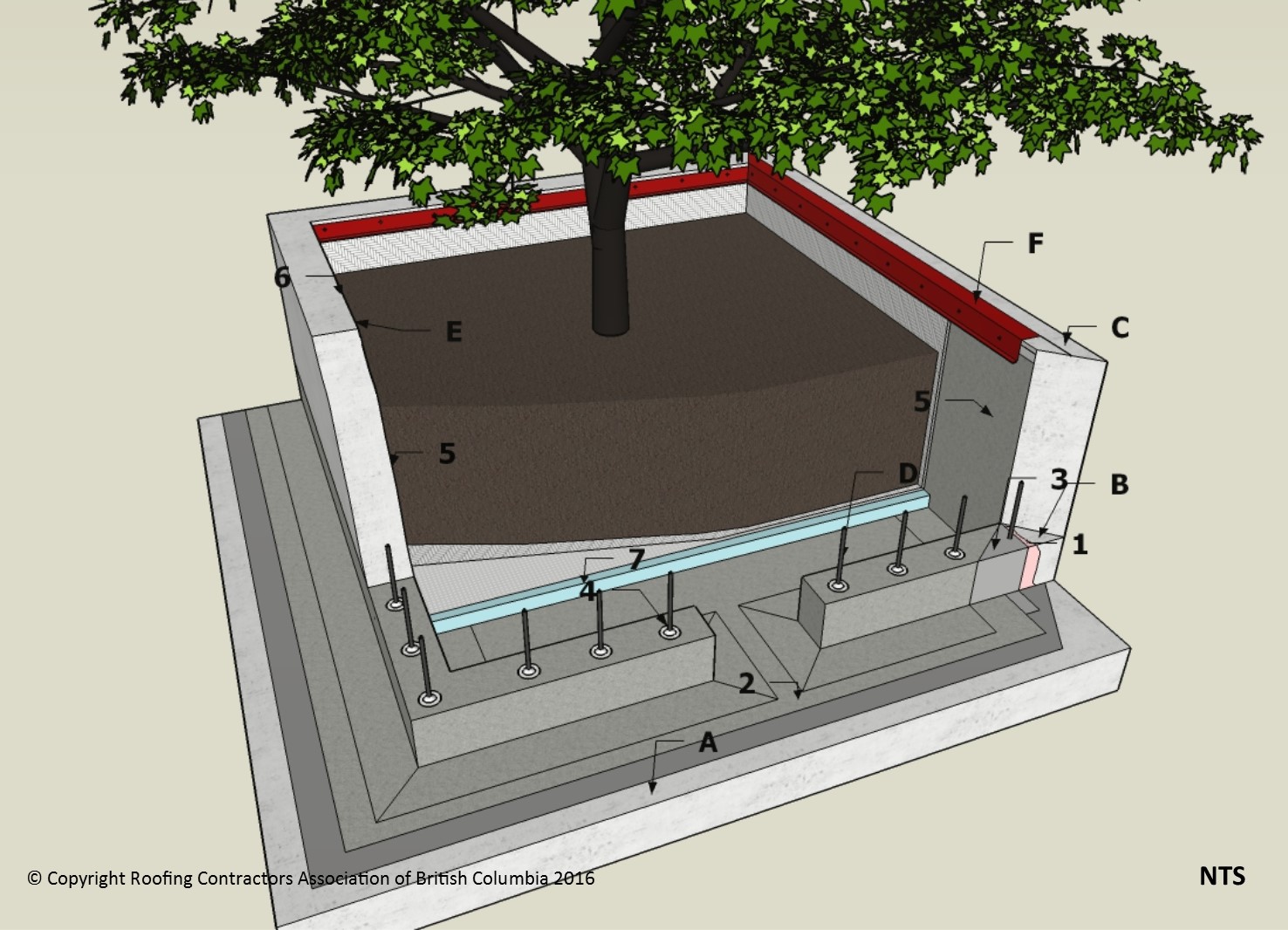 Sbs Structural Planter Rcabc Roofing Practices Manual