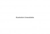 Illustration Unavailable (Filler Image).png